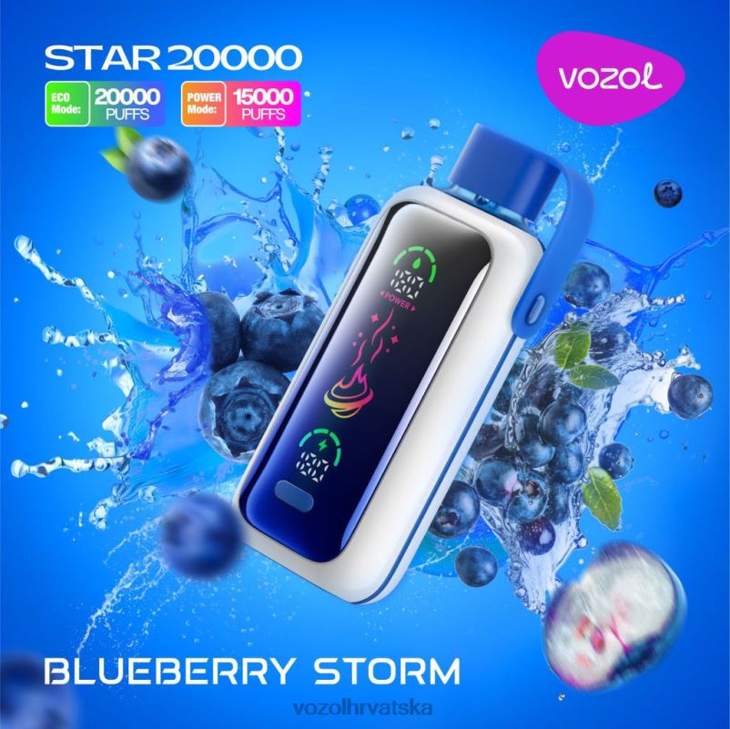 VOZOL STAR 20000 borovnička oluja 2X6DV5 | Vozol Vape Shop