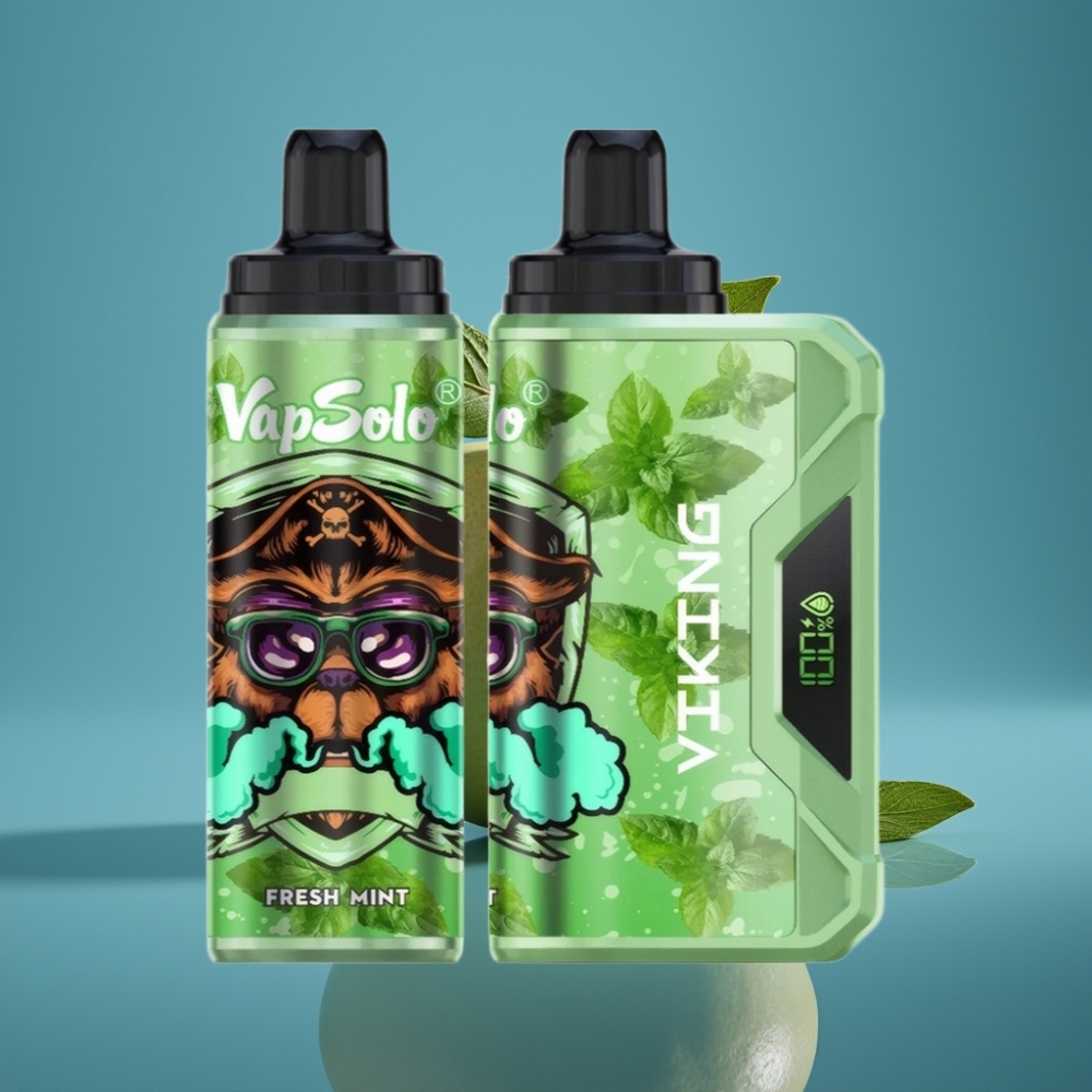 VapSolo VIKING 12000 Puffs Jednokratna E-cigareta Svježa Meta Tip-C 22ml
